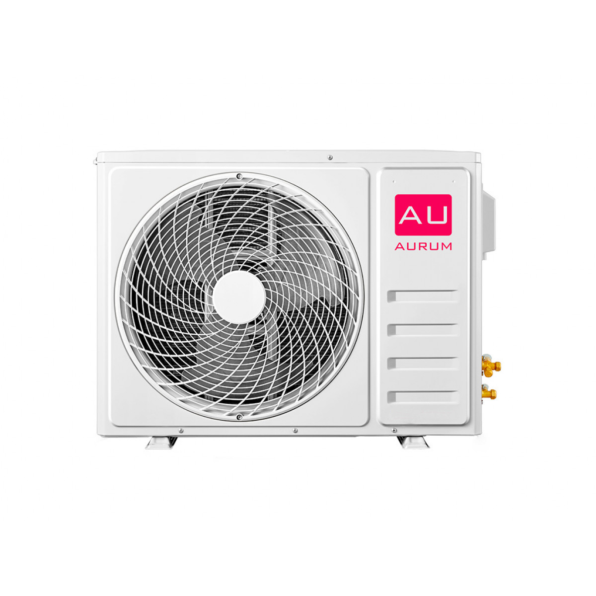 Aurum PRIZE ARC09-WNTE2 Фото №2