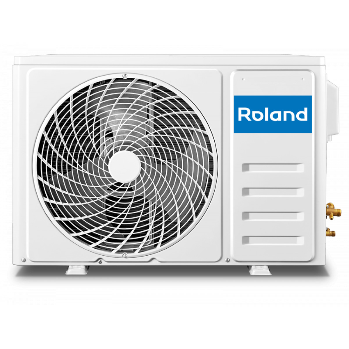Roland WIZARD RD-WZ12HSS/N1 Фото №2